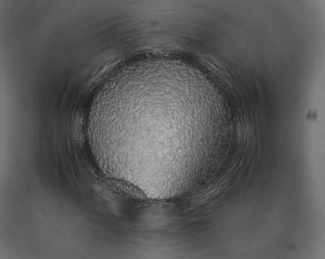 X0000090471060200708031300