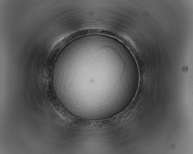 X0000090471064200708031300