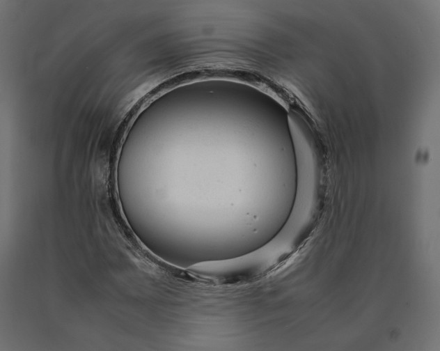 X0000090471065200708031300