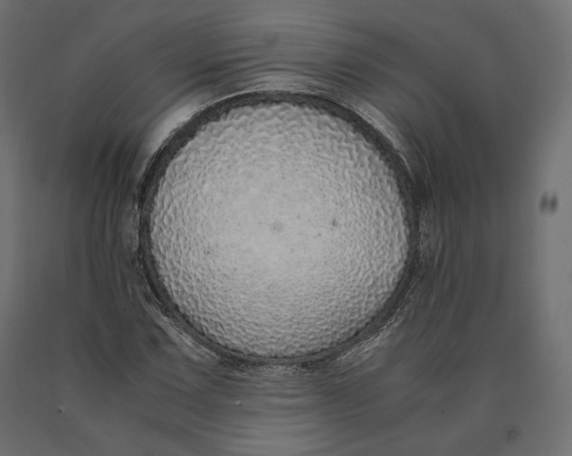 X0000090471067200708031300