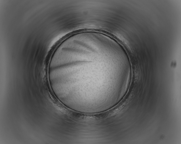 X0000090471070200708031300