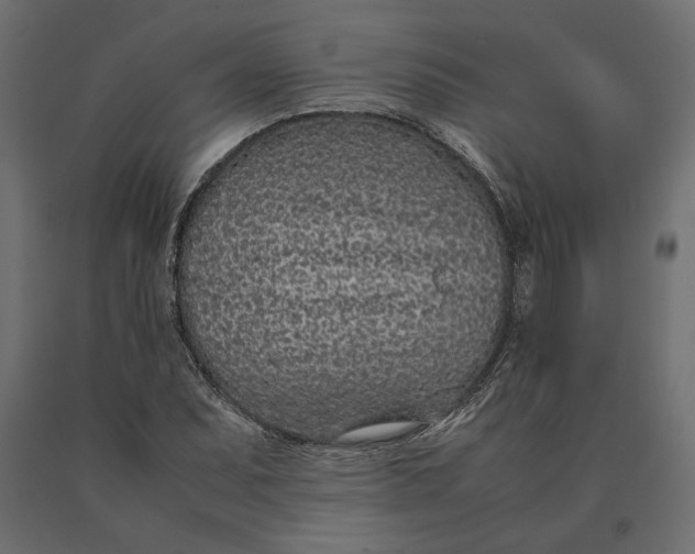 X0000090471071200708031300