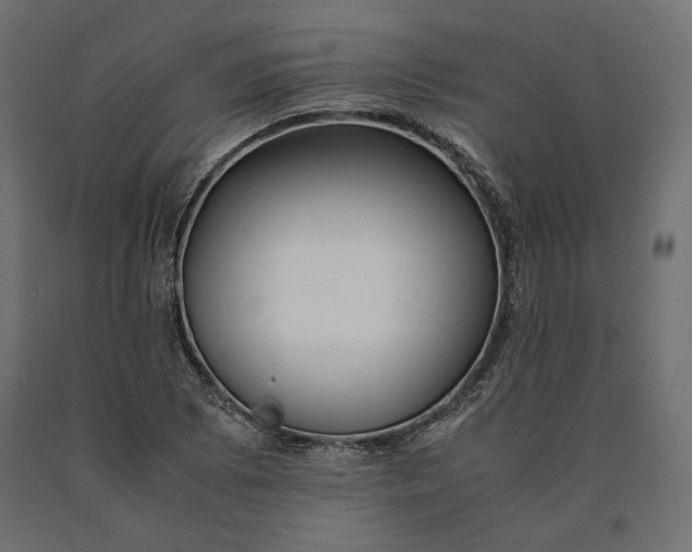 X0000090471073200708031259