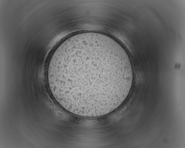 X0000090471074200708031259