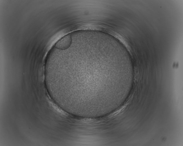 X0000090471075200708031259