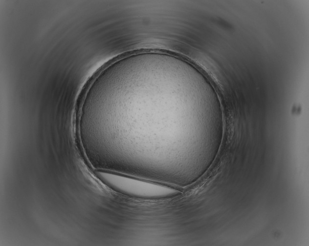 X0000090471076200708031259