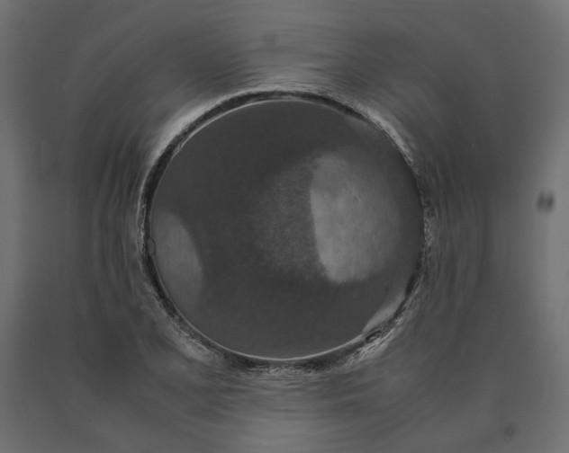 X0000090471077200708031259