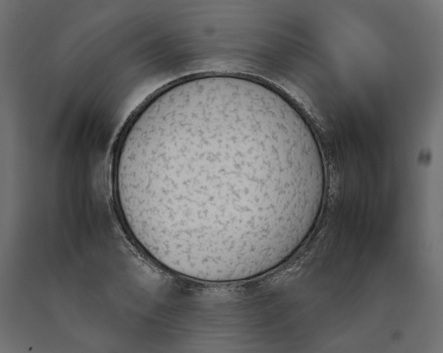 X0000090471078200708031259