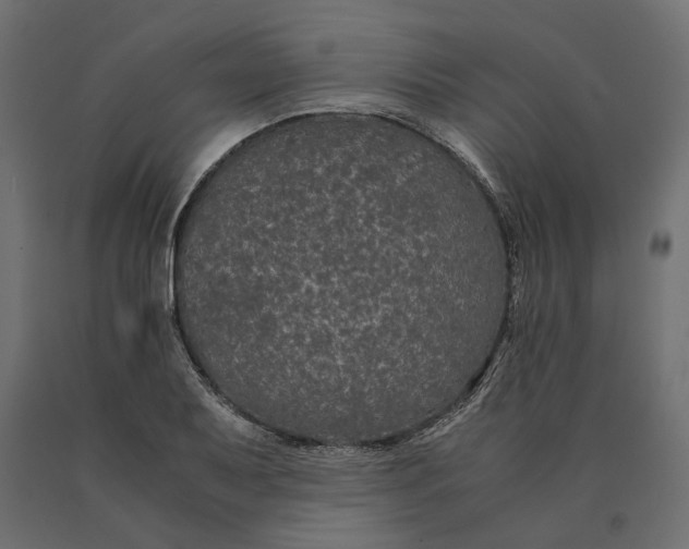 X0000090471079200708031259