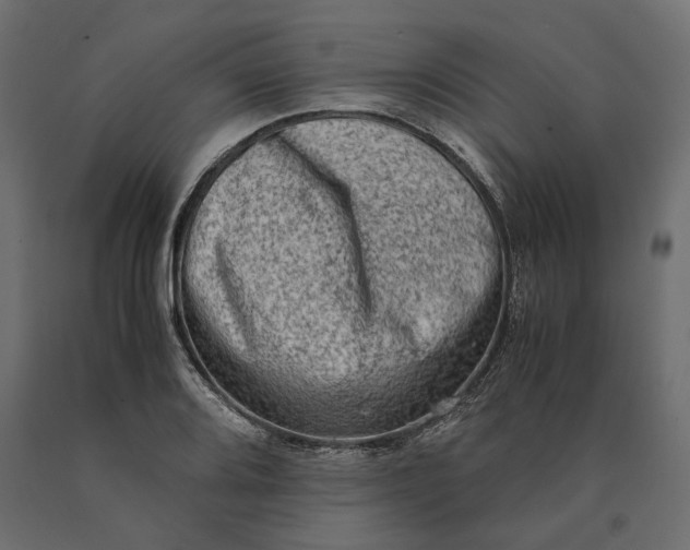 X0000090471080200708031259