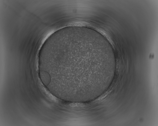 X0000090471083200708031259