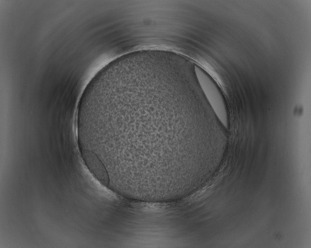 X0000090471084200708031259