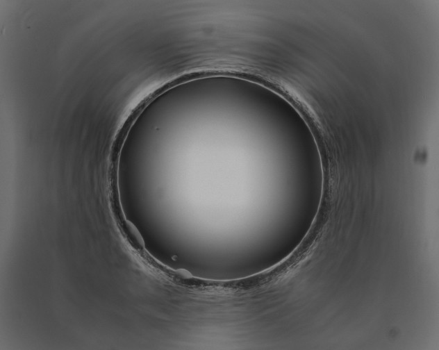 X0000090471085200708031259