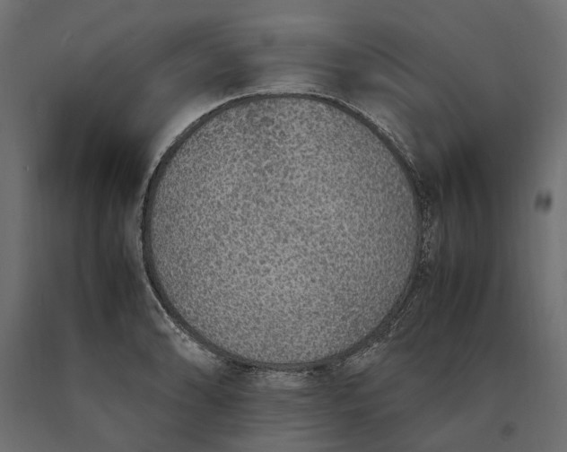 X0000090471086200708031259