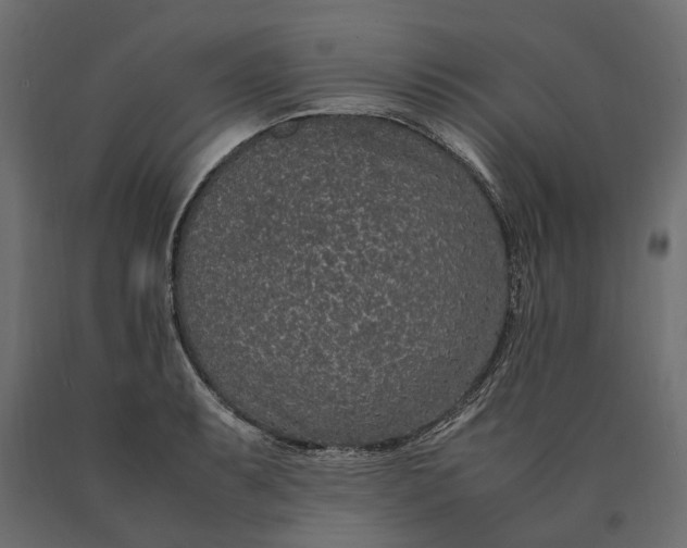 X0000090471087200708031259