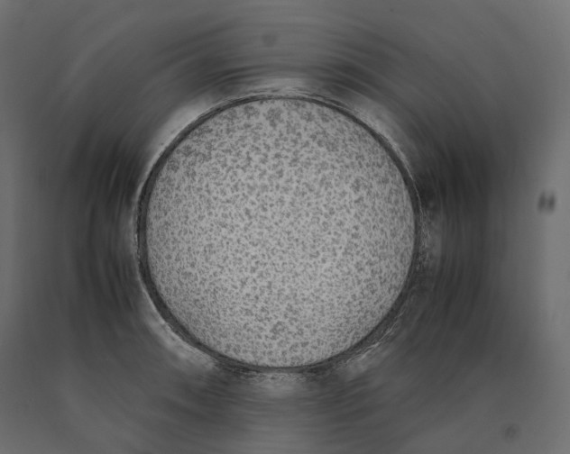 X0000090471090200708031259