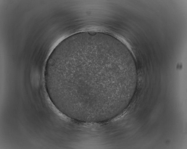 X0000090471091200708031259