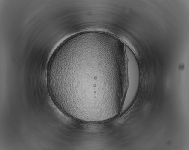 X0000090471092200708031259