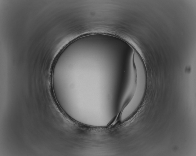 X0000090471093200708031259