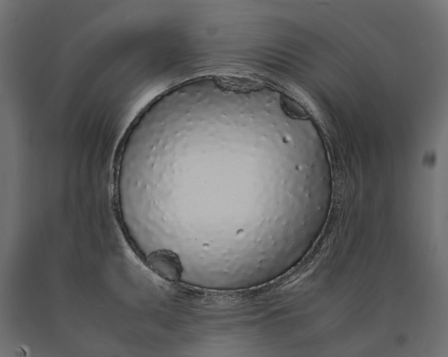 X0000090471095200708031259