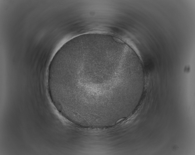 X0000090471099200708031259