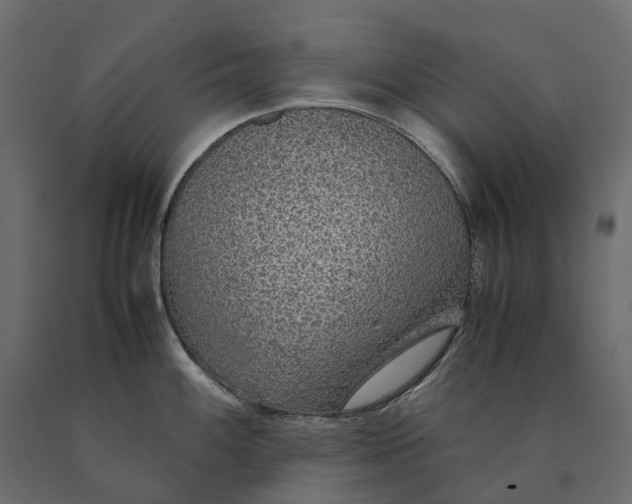 X0000090471100200708031259