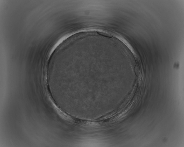 X0000090471101200708031259