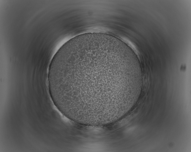 X0000090471103200708031259