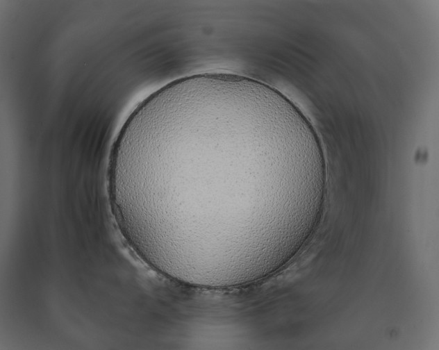 X0000090471104200708031259