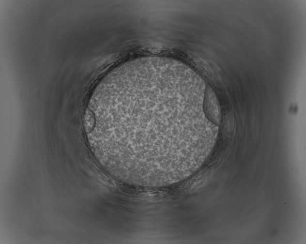 X0000090471105200708031258