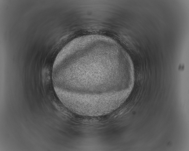 X0000090471106200708031258