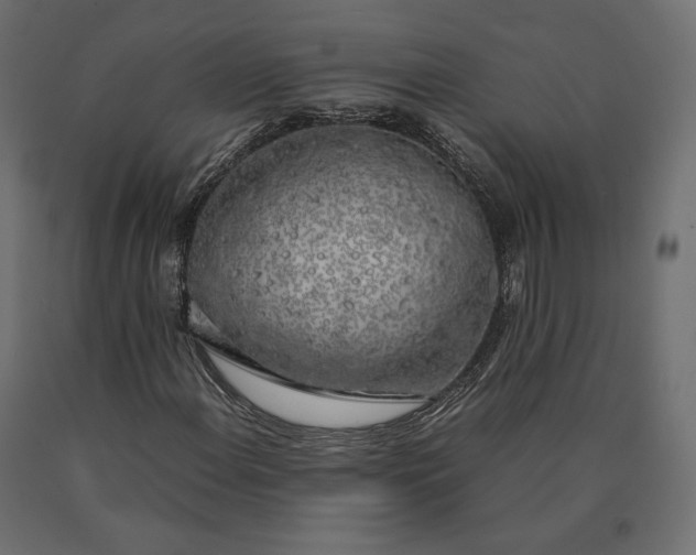 X0000090471108200708031258