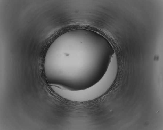 X0000090471110200708031258