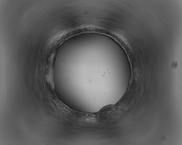 X0000090471111200708031258