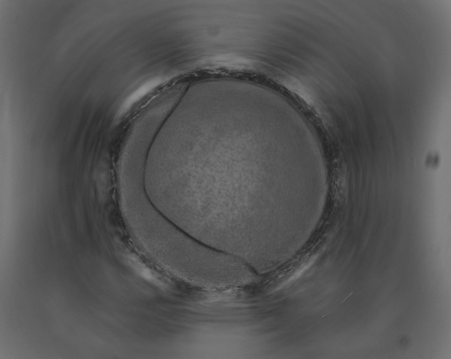 X0000090471112200708031258