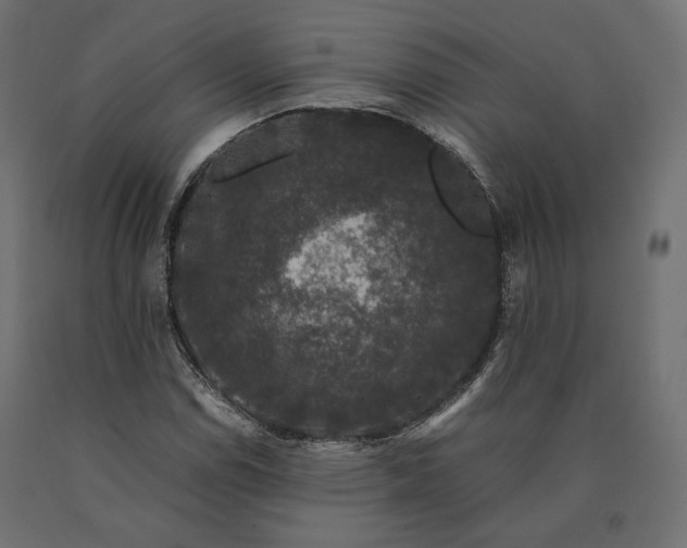 X0000090471114200708031258