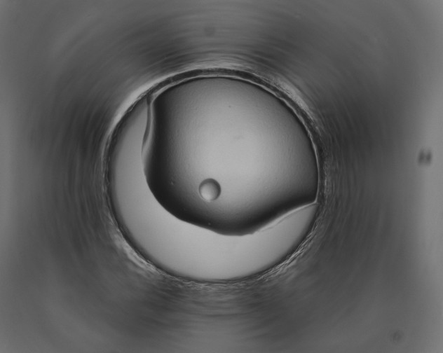 X0000090471116200708031258