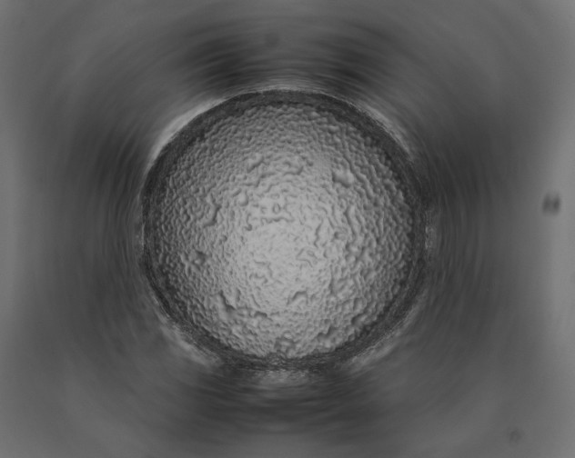 X0000090471117200708031258