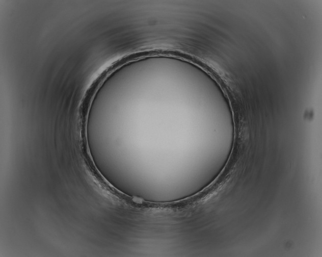 X0000090471118200708031258