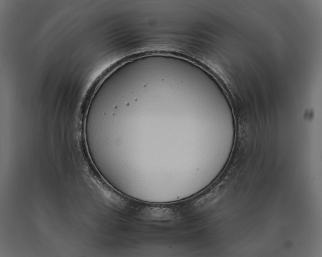 X0000090471119200708031258