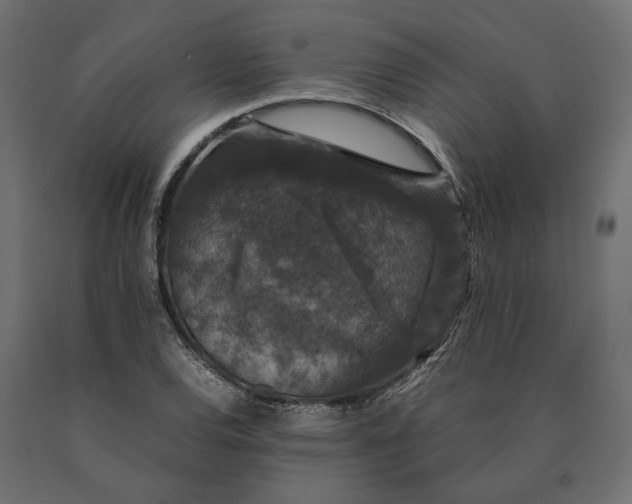 X0000090471120200708031258