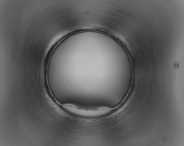 X0000090471122200708031258