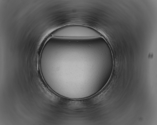 X0000090471123200708031258