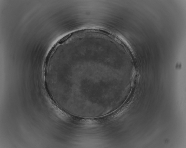 X0000090471124200708031258