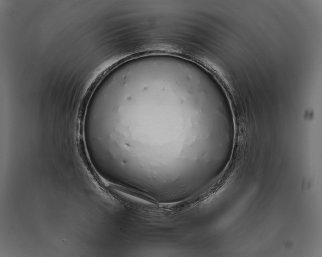 X0000090471125200708031259