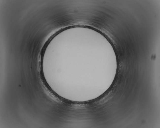 X0000090471126200708031259