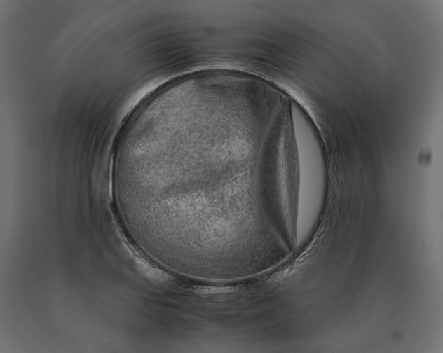 X0000090471127200708031259