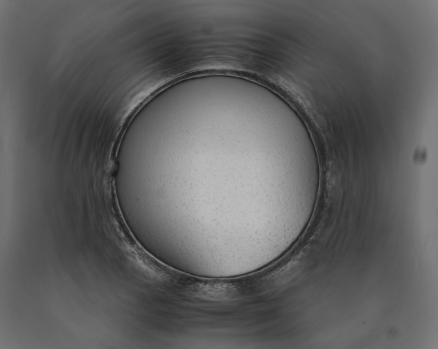 X0000090471129200708031259