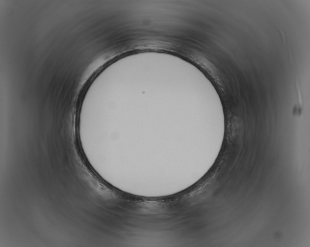 X0000090471130200708031259