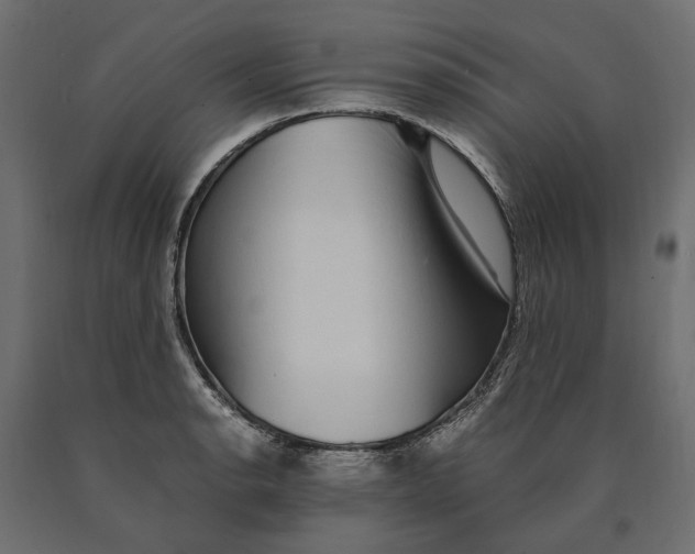 X0000090471134200708031259